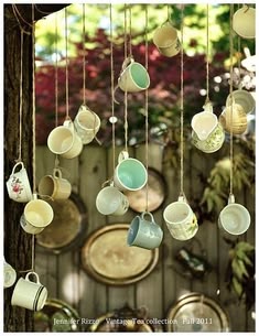 Teacups